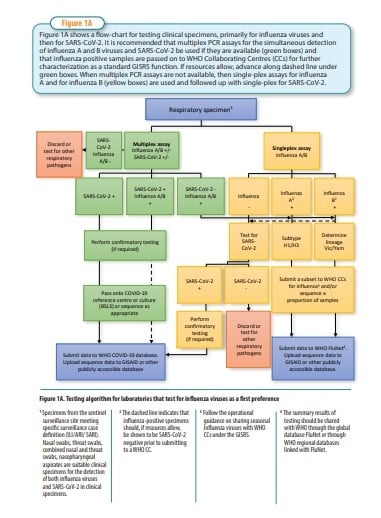 Laboratory testing for COVID-19 - testing algorithm 1A