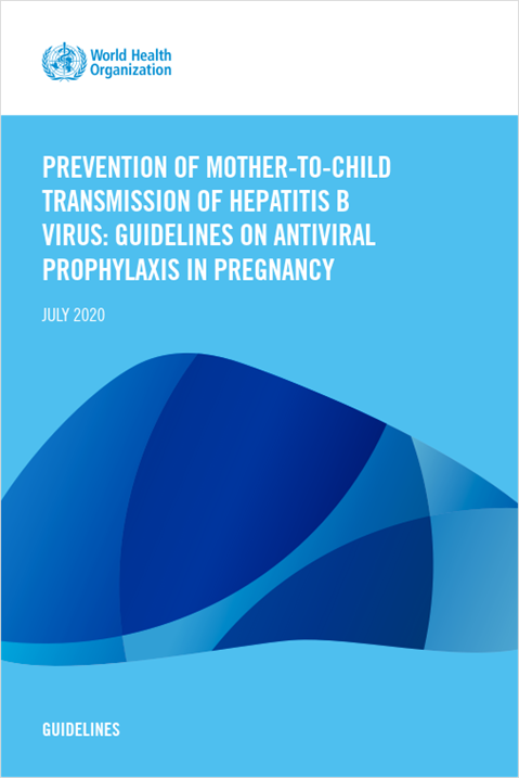 Prevention of mother-to-child transmission of hepatitis B virus: Guidelines on antiviral prophylaxis in pregnancy