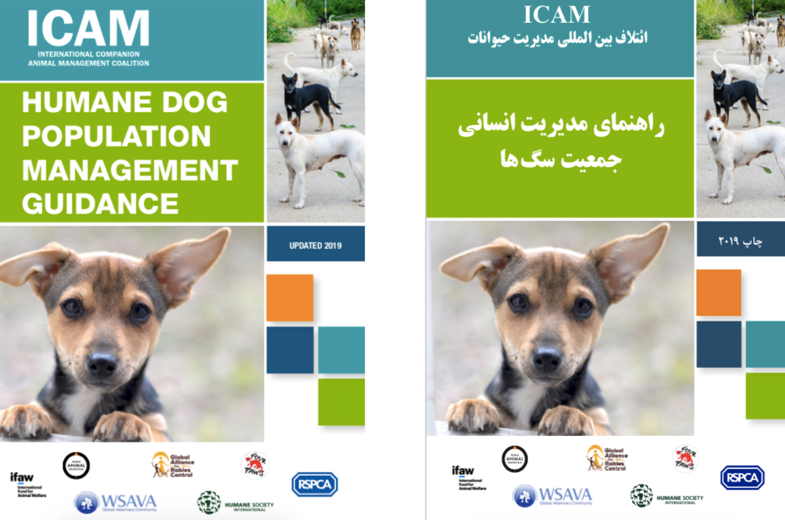 Promoting humane dog population management – International guidance on humane dog population management was translated into Farsi
