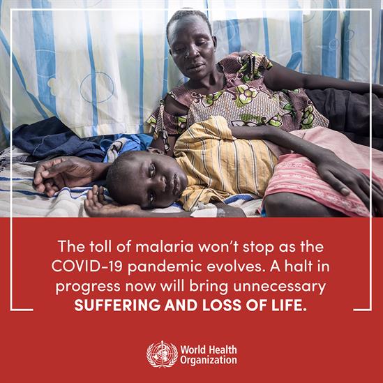 malaria-covid-19-suffering-1-eng